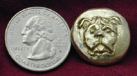 Staffordshire Bull Terrier Button with Quarter