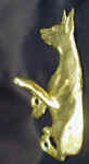 Doberman, cropped, paw as hook, side view