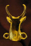 Pronghorn Antelope Deluxe! Finger Pull, back view