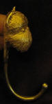 Brussels Griffon, cropped ears, J Hook, side view