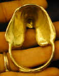 American Water Spaniel Napkin Ring, back view