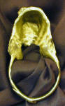 Italian Spinone Napkin Ring, back view