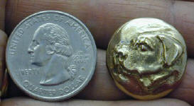 Rhodesian Ridgeback Button wtih Quarter
