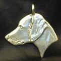 Silver Weimaraner, left facing (dog)