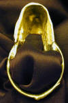 English Setter Napkin Ring, back view